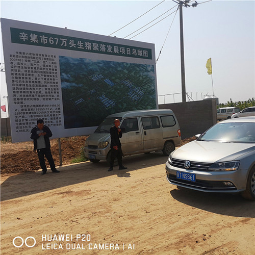 辛集市67万头生猪聚落采购香蕉视频污下载钢三柱大香蕉在线电影